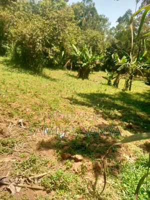 Plot for Sale