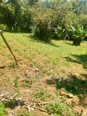 Plot for Sale