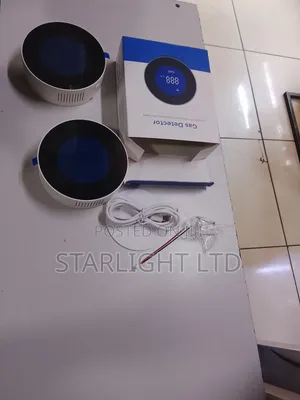 Gas Leak Alarm With Real-Time Digital Display Screen