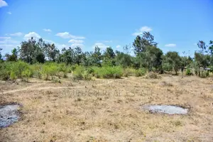 Prime 40x100 Plots in Juja Farm Mwireri