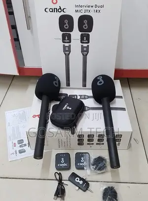 Good Quality Candc Interview Dual Wireless Microphone System
