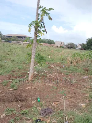 Marindi Town 2 Acres Prime Land