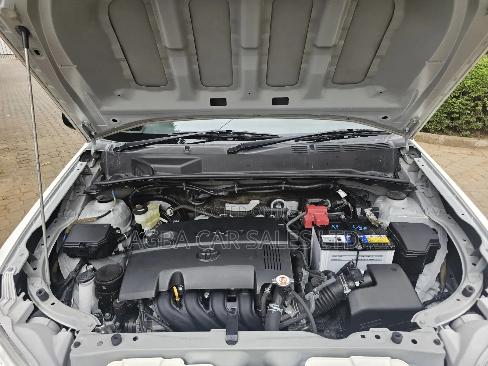 Toyota Succeed 2019