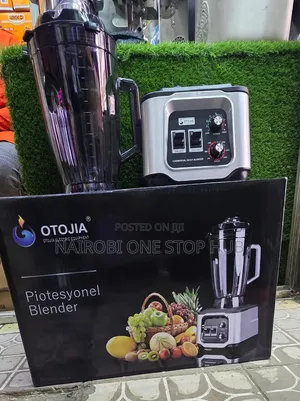 Otojia Commercial Blender 
6Litres