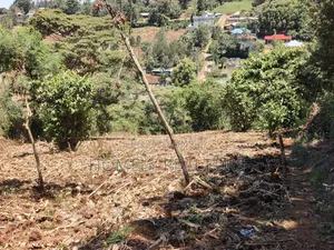 One Acre Piece of Land for Sale in Ngong, Olkeri. Fertile Red Soil