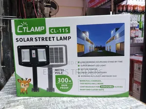 300 W Solar Street Lights