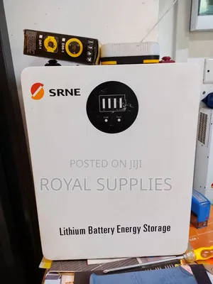 Srne Lithium Battery 100ah 24v 2.56kwh