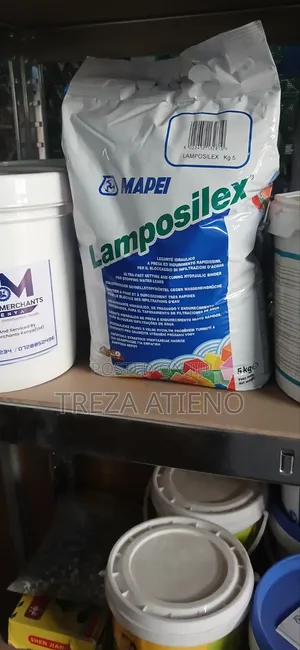Lamposilex