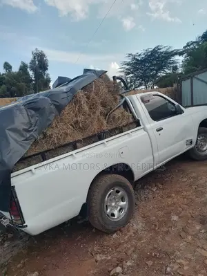Nissan Hardbody 2003 White