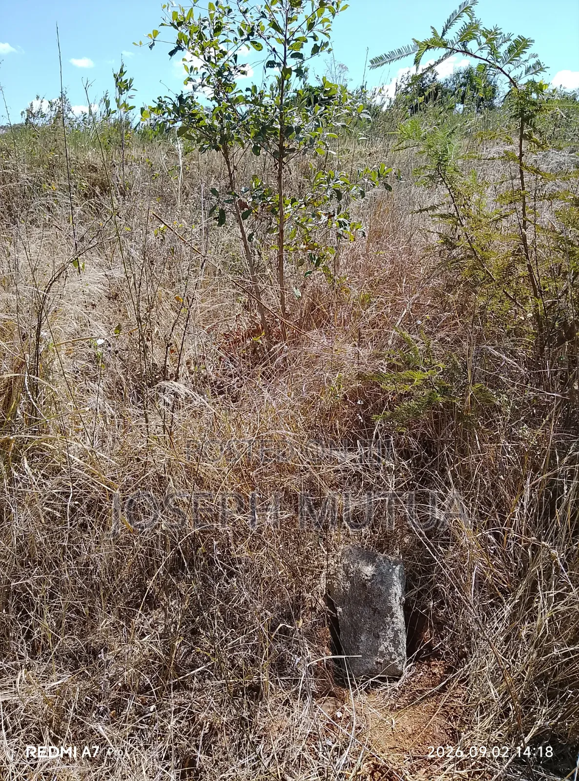 Two Acres of Land