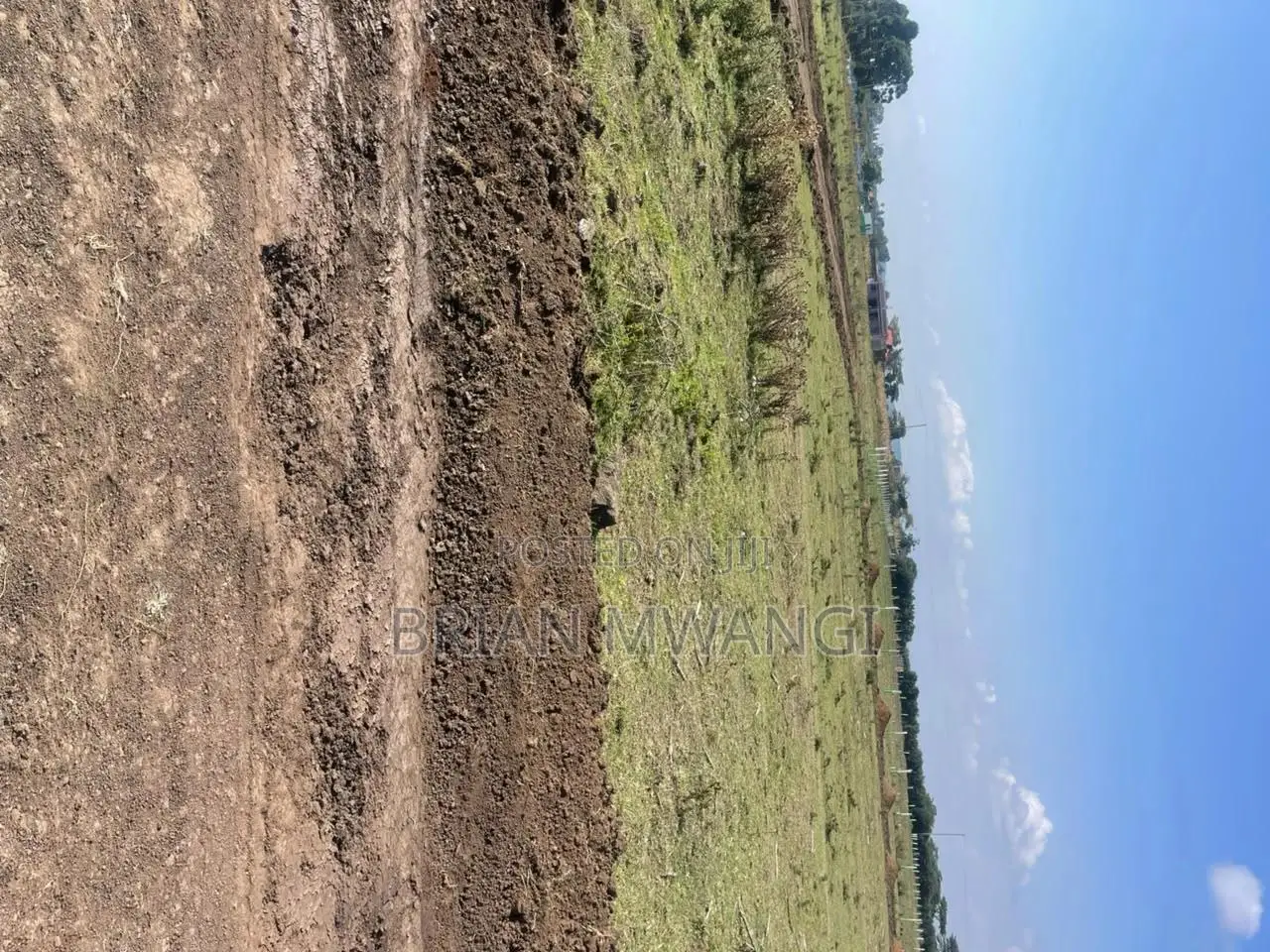 Nakuru Pewa