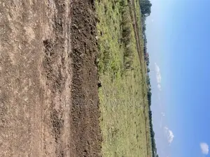 Nakuru Pewa