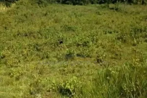 Kerarapon Ngong 10 Acres for Town Houses, Villa, School, Hotel