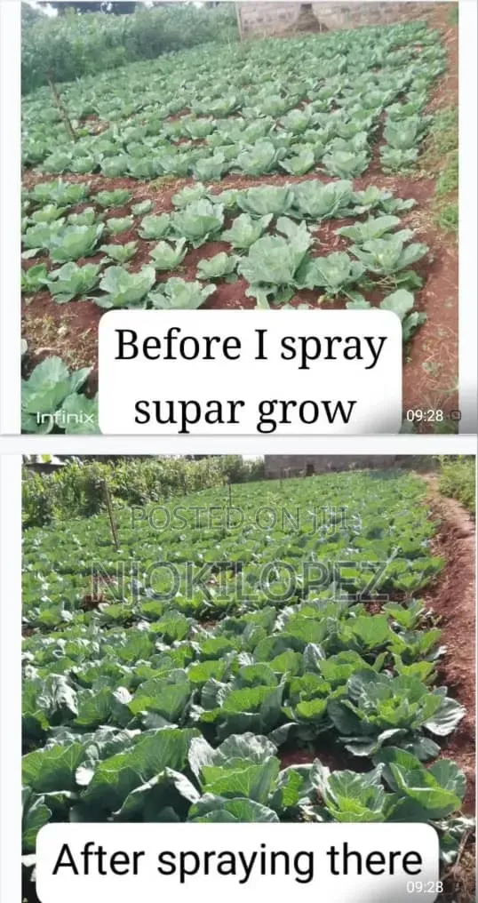 Supergro ( Crop Booster)