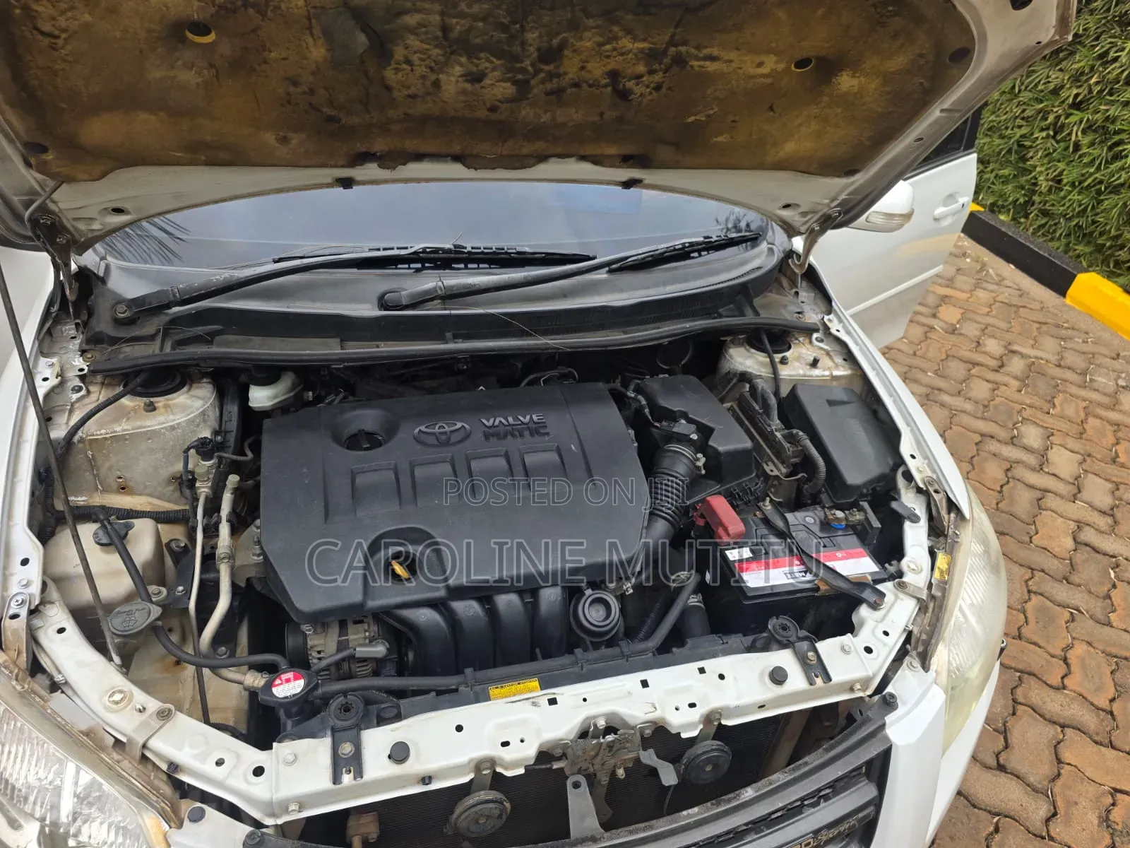 Toyota Axio 2010 Off white