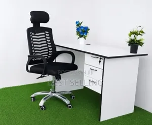 Elegant Writing Desk and Chair