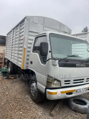 Isuzu NPR 2019