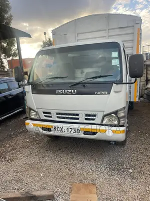 Isuzu NPR 2019