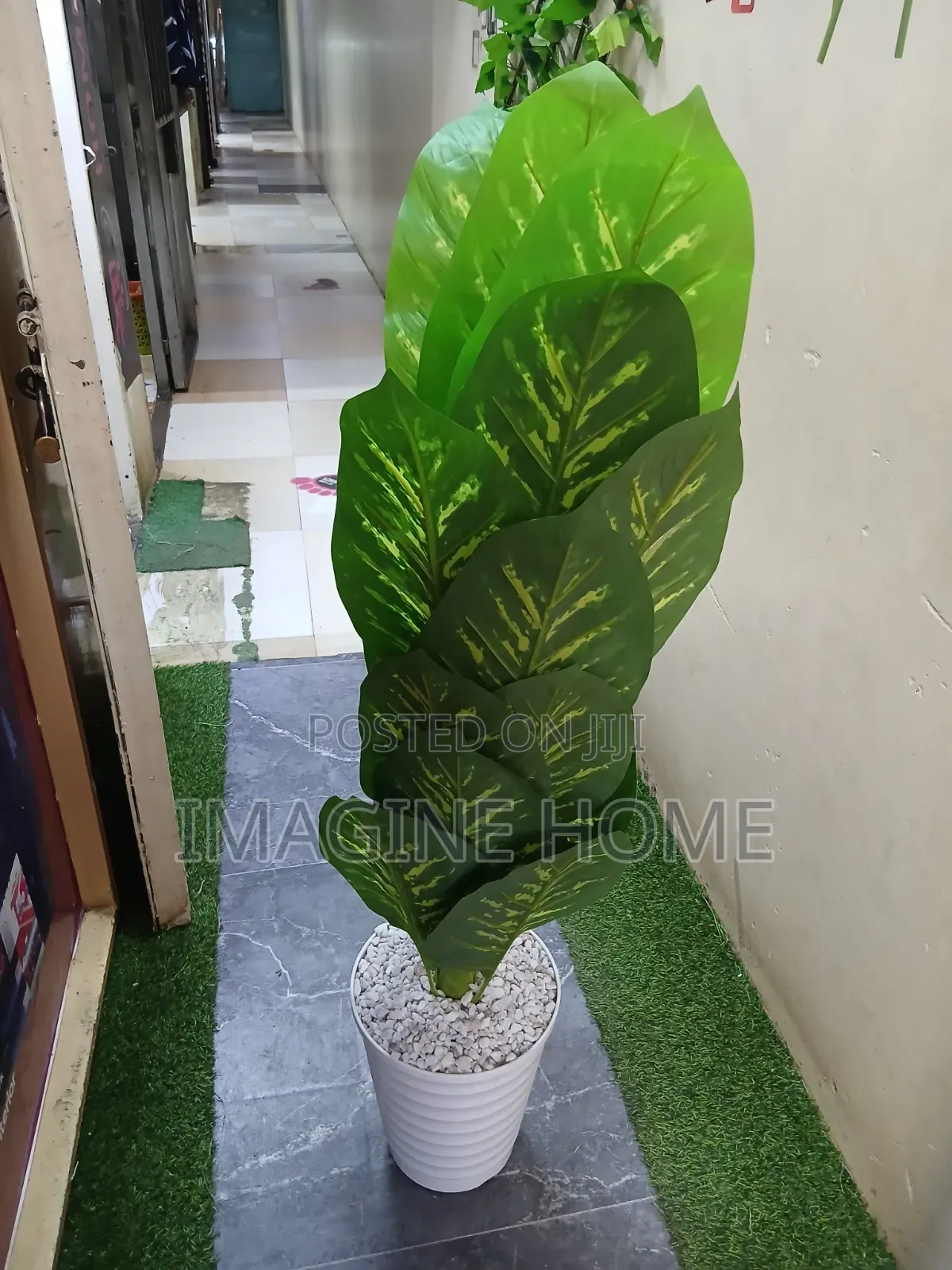 Artificial Plants for Both Interior/Exterior