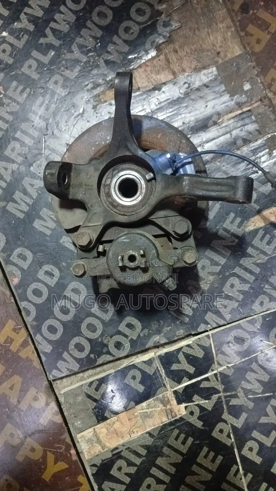 Alto Echo Wheel Hub