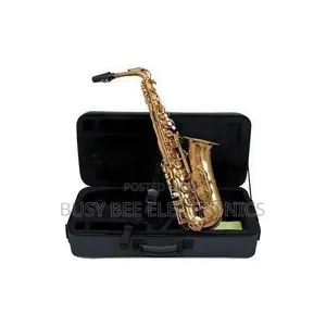 Classic Professional Alto Saxophone With Case