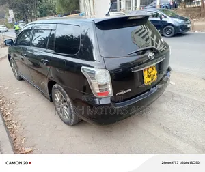 Toyota Corolla Fielder 2010 Black