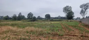 Prime 8 Acres for Sale in Kerarapon
