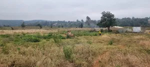 Prime 8 Acres for Sale in Kerarapon