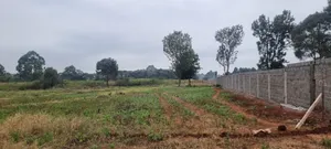 Prime 8 Acres for Sale in Kerarapon