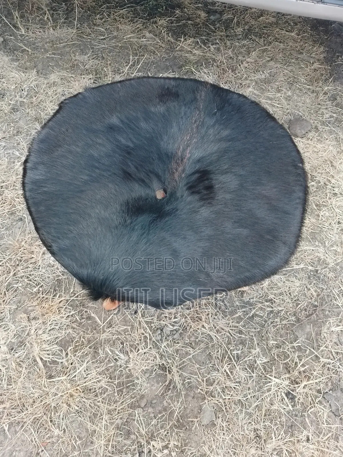 Traditional Stool