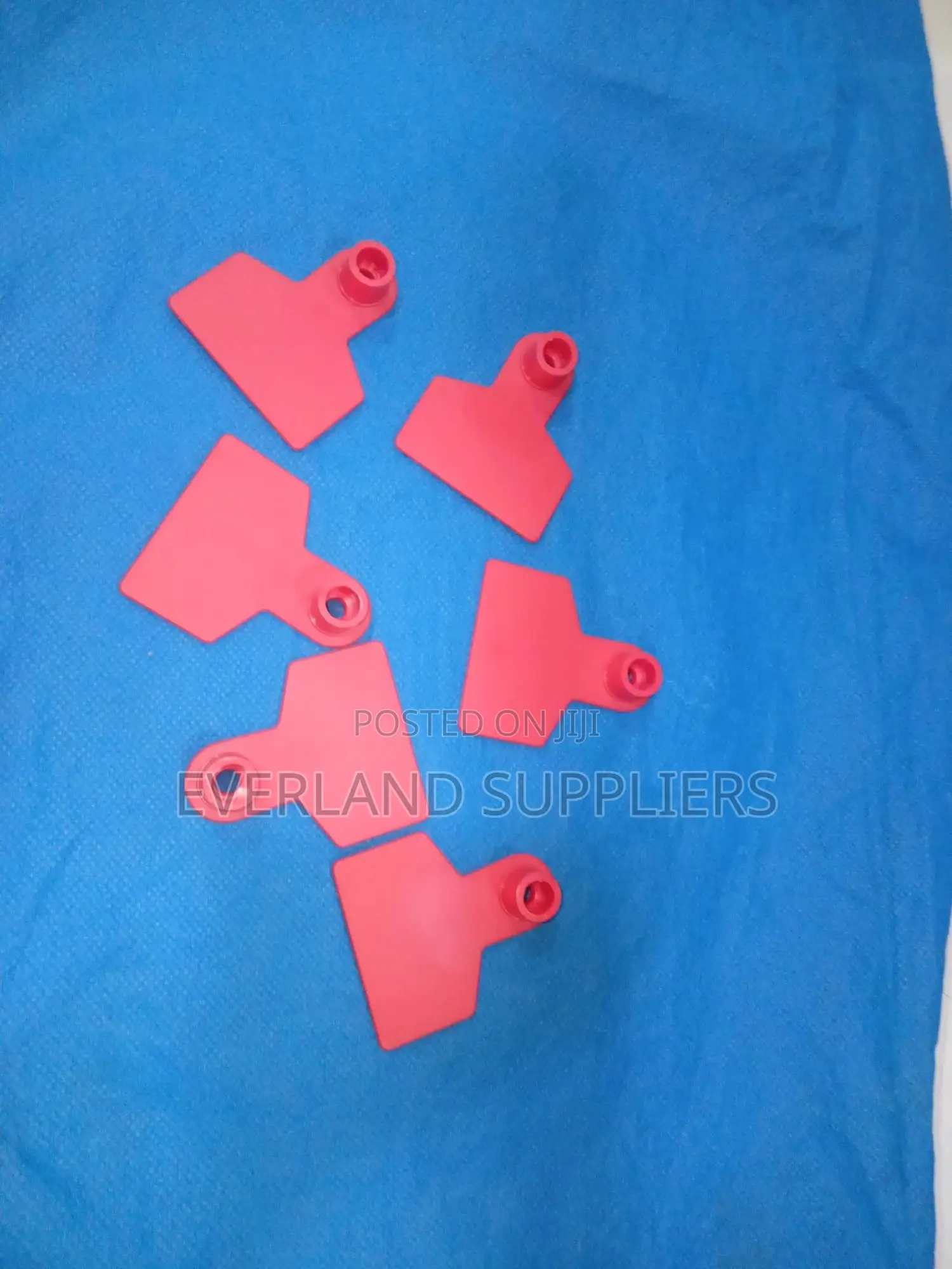 Ear Tags - Quick Recognition