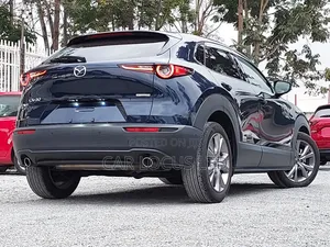 Mazda CX-30 2020 Blue