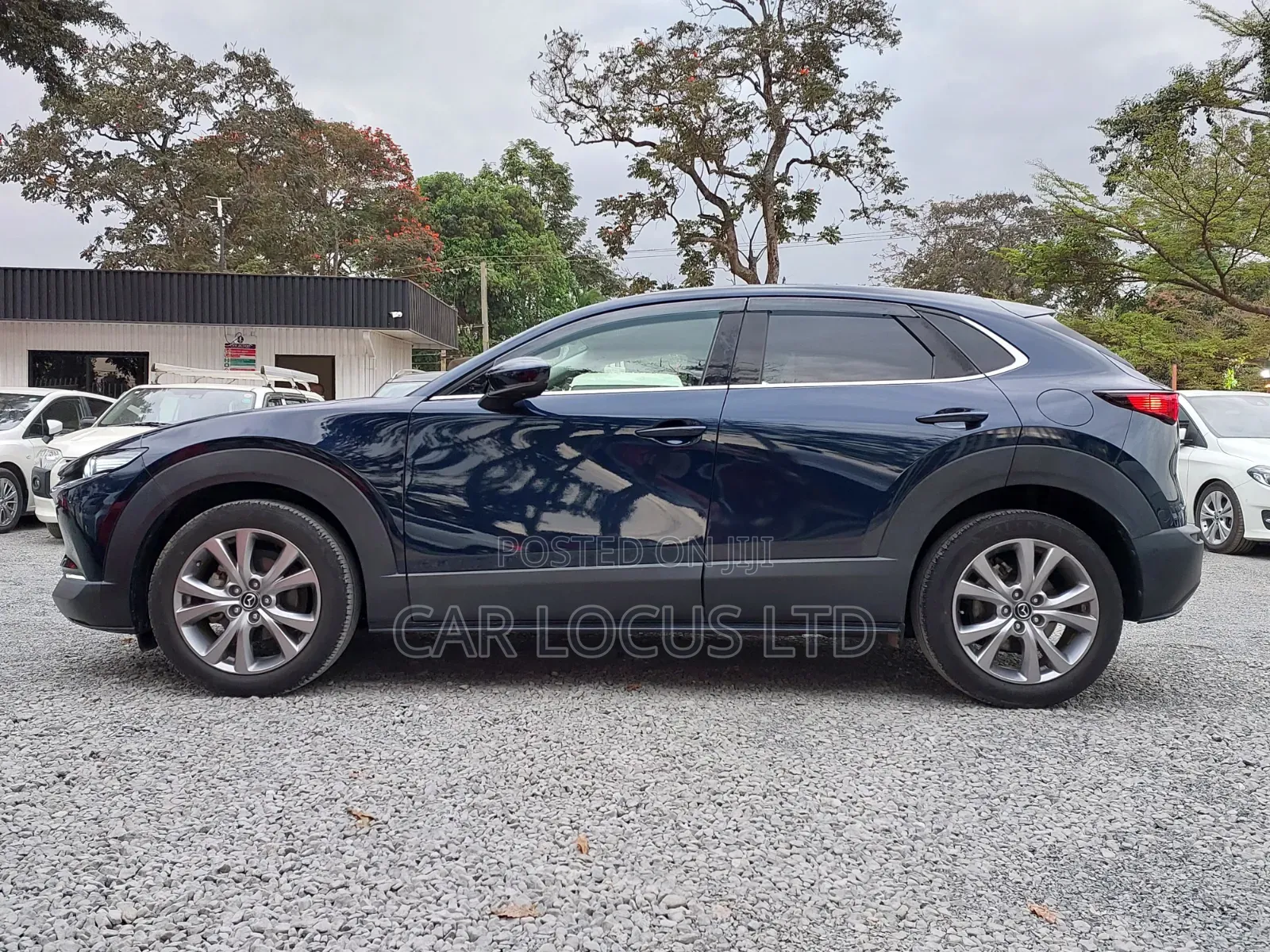 Mazda CX-30 2020 Blue