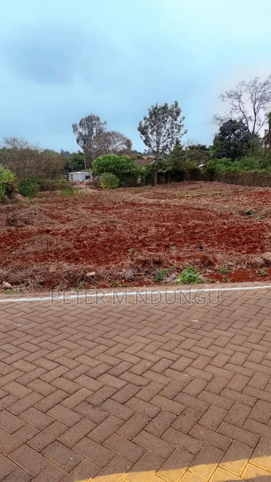 Mushrooms Gated Estate- Prime 1/2 Acre on Sale