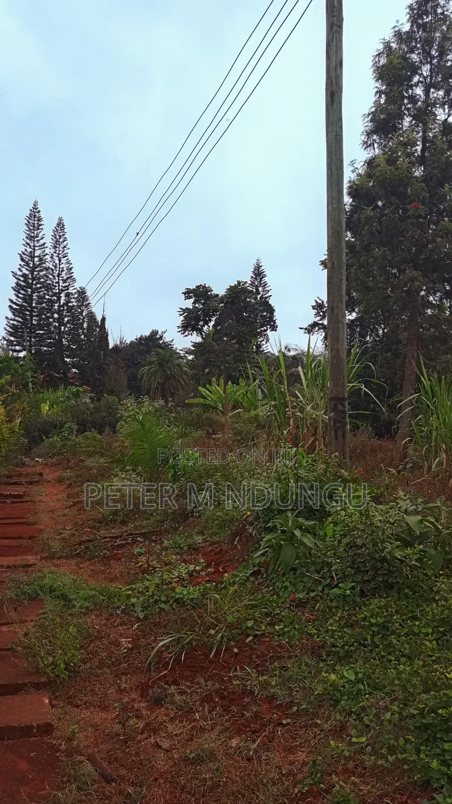 Mushrooms Gated Estate- Prime 1/2 Acre on Sale