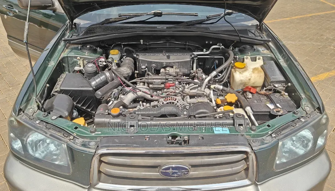 Subaru Forester 2005 Green