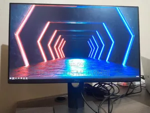 Dell 24-Inch Professional Monitor