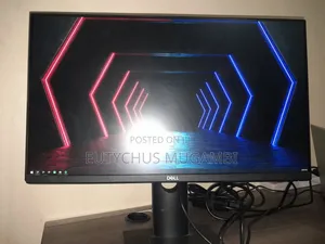 Dell 24-Inch Professional Monitor