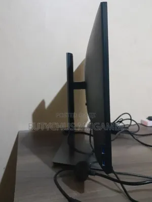 Dell 24-Inch Professional Monitor
