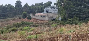 Quarter Acre Residential Plot for Sale – Kikuyu Gikambura