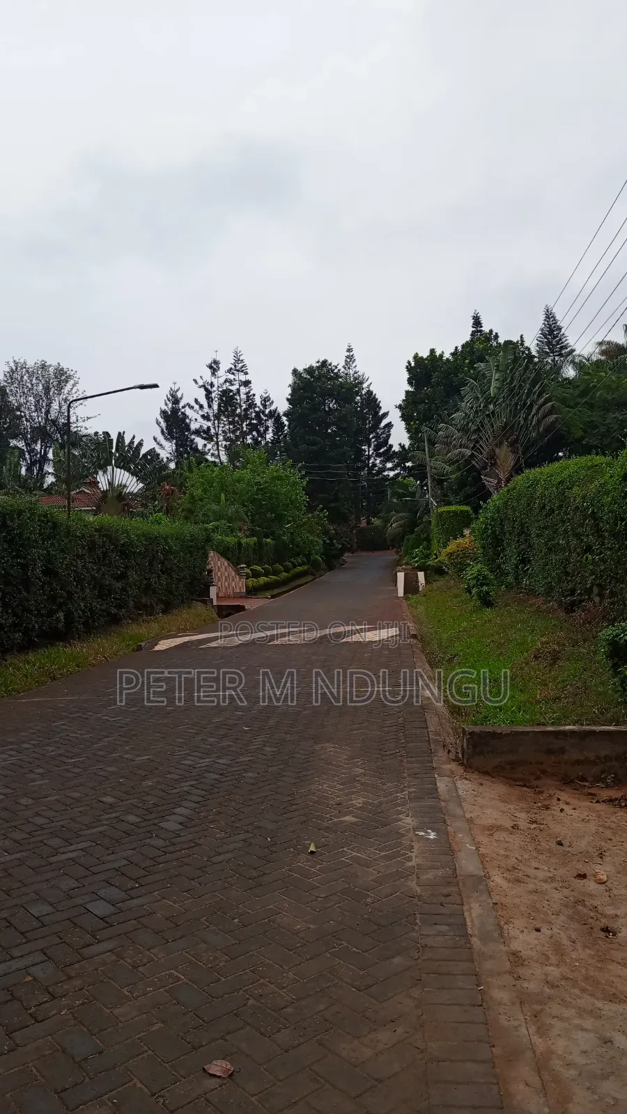 Muthithi Gardens- Kiambu Road Off Kiambu National Polytechnic