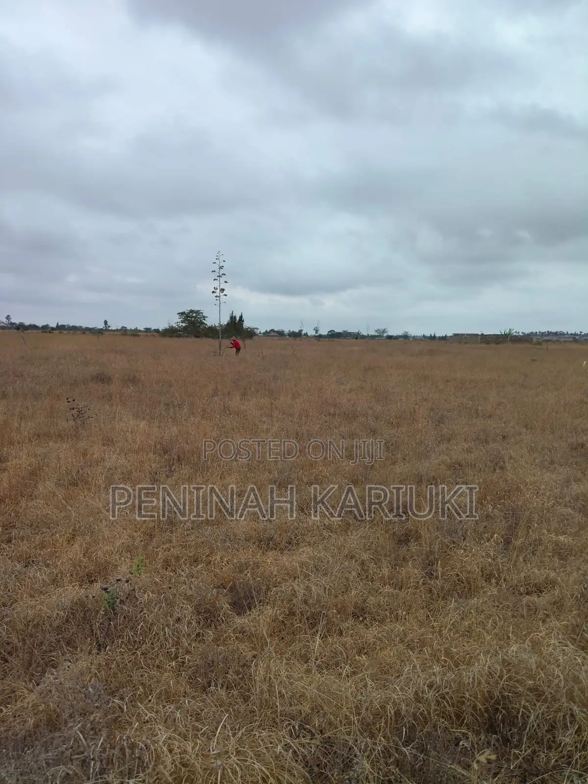 100×100 Plot for Sale in Malaa, Utumishi Sacco - Direct Owner