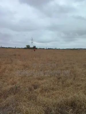 100×100 Plot for Sale in Malaa, Utumishi Sacco - Direct Owner