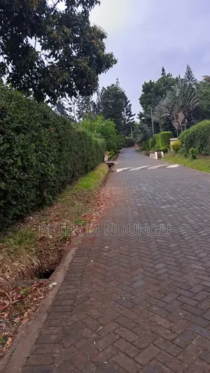 Muthithi Gardens- Kiambu Road Off Kiambu National Polytechnic