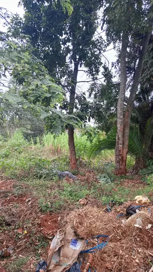 Muthithi Gardens- Kiambu Road Off Kiambu National Polytechnic