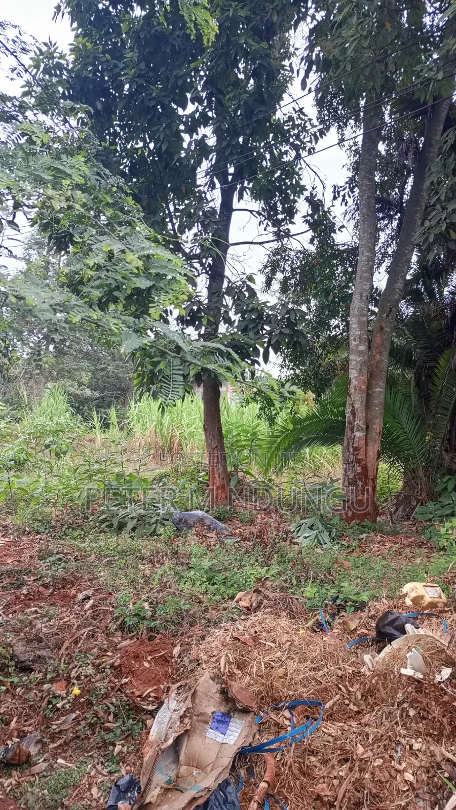 Muthithi Gardens- Kiambu Road Off Kiambu National Polytechnic