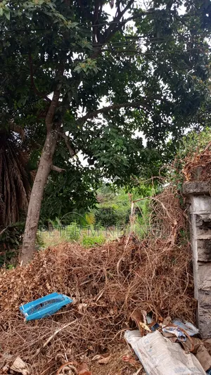 Muthithi Gardens- Kiambu Road Off Kiambu National Polytechnic