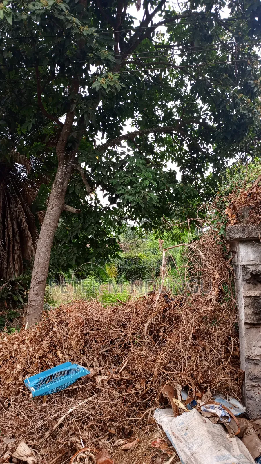 Muthithi Gardens- Kiambu Road Off Kiambu National Polytechnic