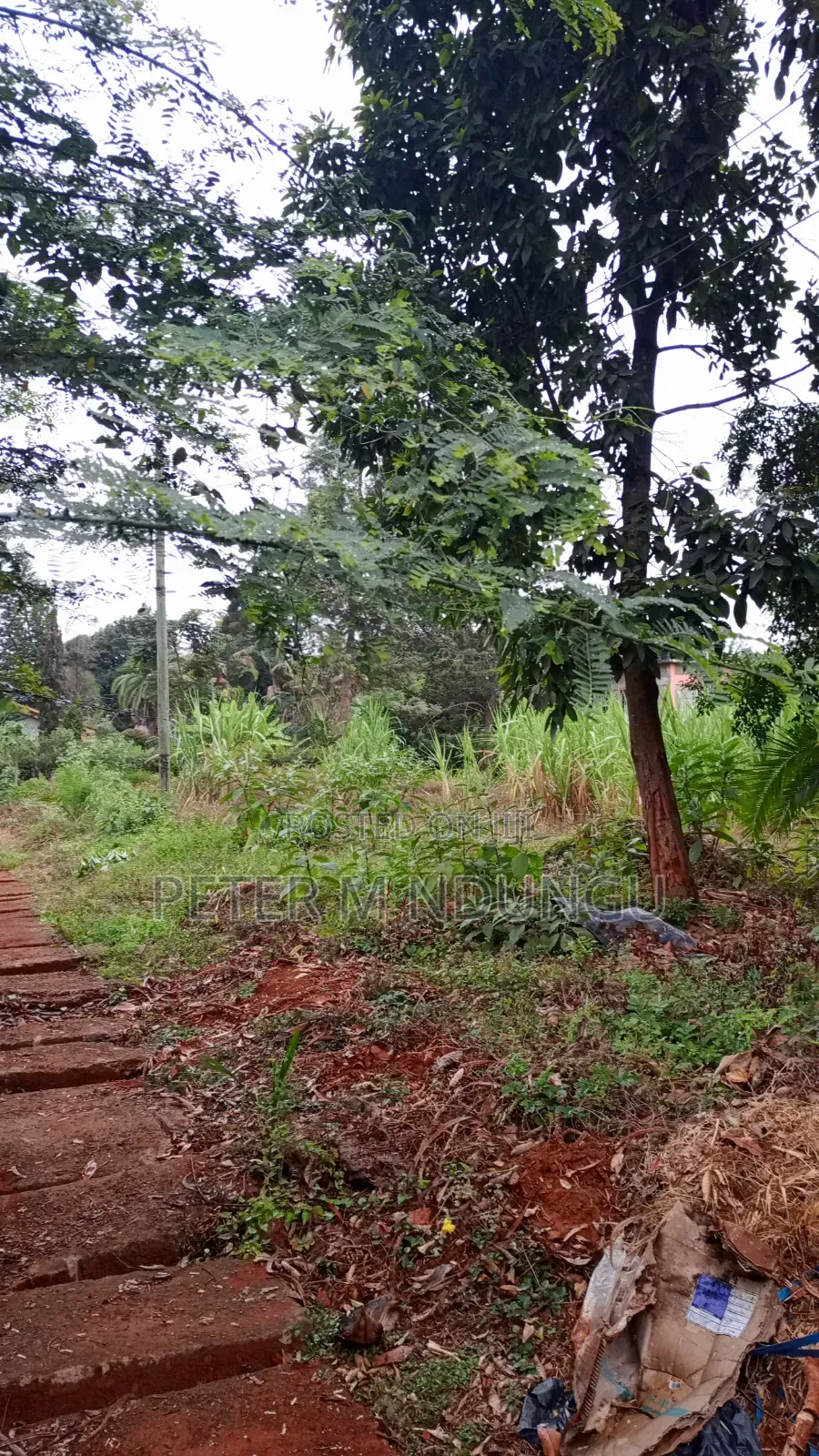 Muthithi Gardens- Kiambu Road Off Kiambu National Polytechnic