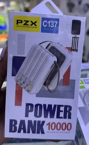PZX C137 Small Portable Powerbank.